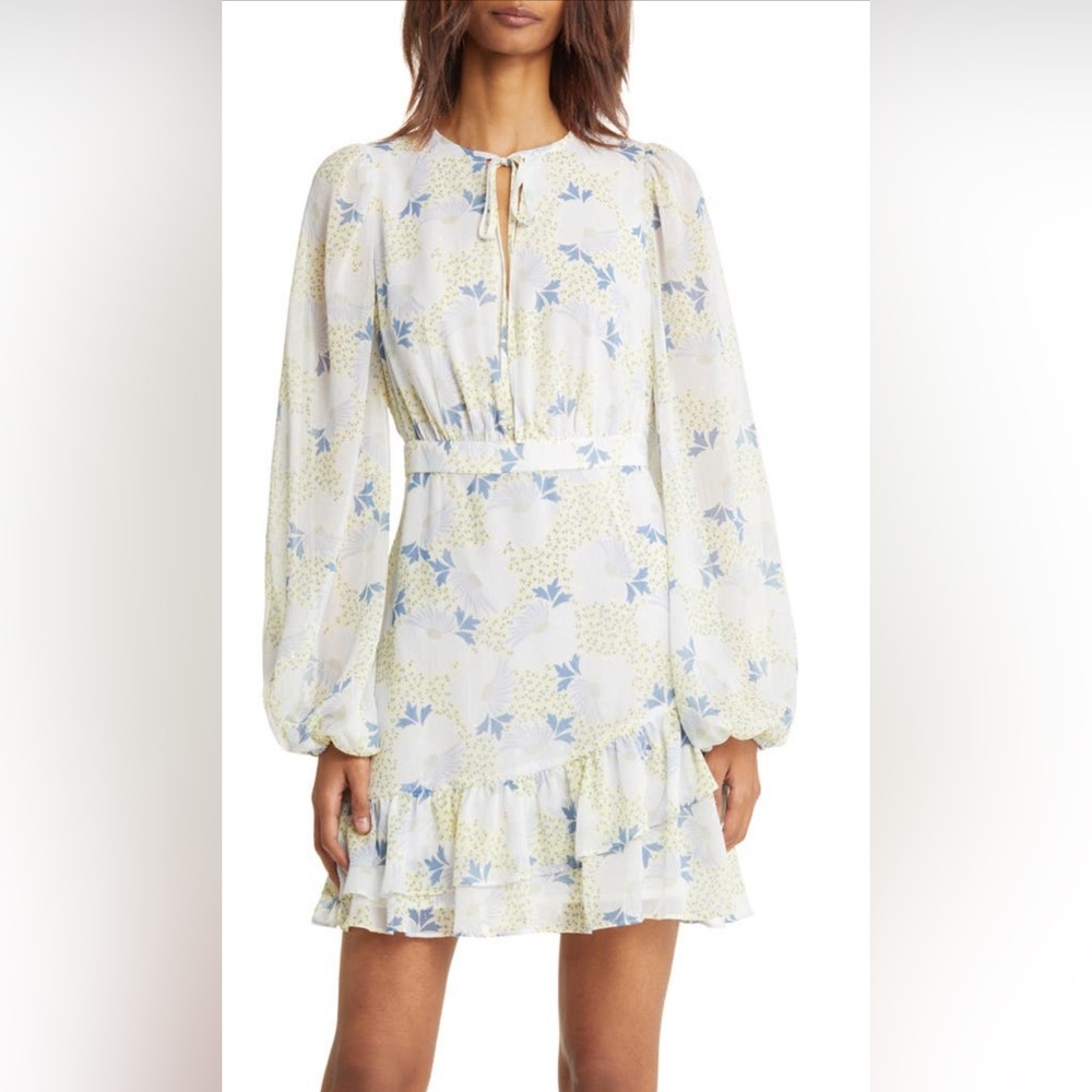 Ted Baker London Suziiee Floral Long Sleeve
Tiered Dress Ruffled 5/US12 sky Blue